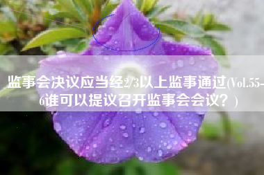监事会决议应当经2/3以上监事通过(Vol.55-56谁可以提议召开监事会会议？)
