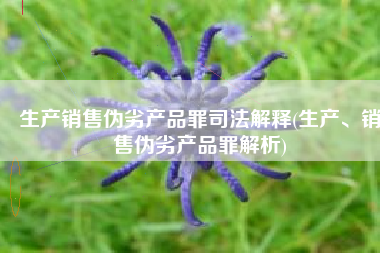 生产销售伪劣产品罪司法解释(生产、销售伪劣产品罪解析)