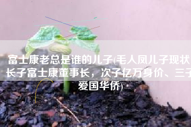 富士康老总是谁的儿子(毛人凤儿子现状：长子富士康董事长，次子亿万身价、三子爱国华侨)