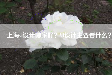 上海vi设计哪家好？VI设计主要看什么？