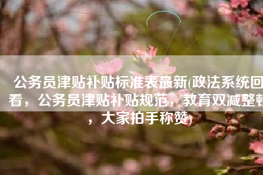 公务员津贴补贴标准表最新(政法系统回看，公务员津贴补贴规范，教育双减整顿，大家拍手称赞)