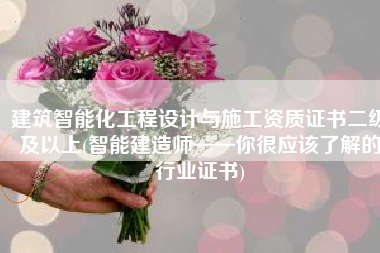 建筑智能化工程设计与施工资质证书二级及以上(智能建造师——你很应该了解的行业证书)