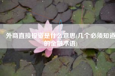 外商直接投资是什么意思(几个必须知道的金融术语)