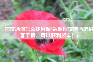 在夜场做怎么找客源快(深挖夜店酒吧招客手段,可以获利颇丰!)