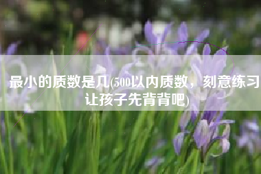 最小的质数是几(500以内质数，刻意练习，让孩子先背背吧)