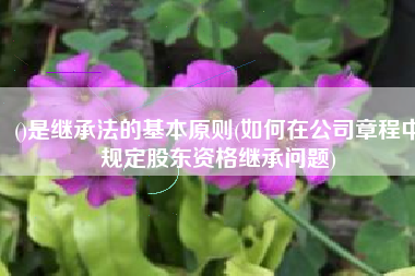 ()是继承法的基本原则(如何在公司章程中规定股东资格继承问题)