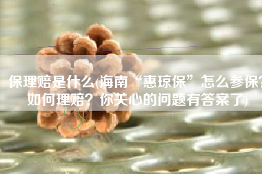 保理赔是什么(海南“惠琼保”怎么参保？如何理赔？你关心的问题有答案了)