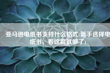 亚马逊电纸书支持什么格式(新手选择电纸书，看这篇就够了)