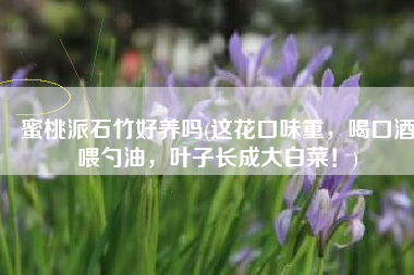 蜜桃派石竹好养吗(这花口味重，喝口酒喂勺油，叶子长成大白菜！)