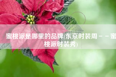 蜜桃派是哪里的品牌(东京时装周－－蜜桃派时装秀)