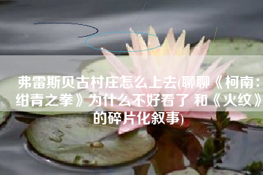 弗雷斯贝古村庄怎么上去(聊聊《柯南：绀青之拳》为什么不好看了 和《火纹》的碎片化叙事)