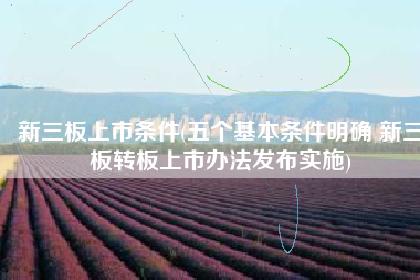 新三板上市条件(五个基本条件明确 新三板转板上市办法发布实施)