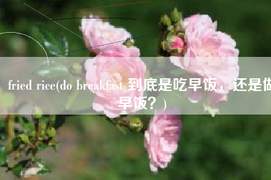 fried rice(do breakfast 到底是吃早饭，还是做早饭？)
