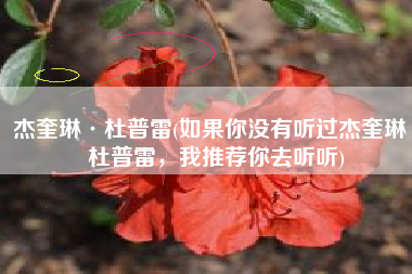 杰奎琳·杜普雷(如果你没有听过杰奎琳·杜普雷，我推荐你去听听)