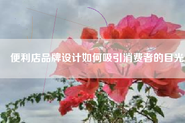 便利店品牌设计如何吸引消费者的目光