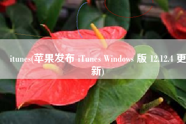 itunes(苹果发布 iTunes Windows 版 12.12.4 更新)