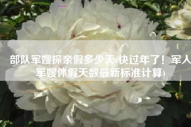 部队军嫂探亲假多少天(快过年了！军人军嫂休假天数最新标准计算)