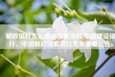 邮政银行怎么查询扣费项目(中国建设银行、中国邮政储蓄银行发布重要公告)