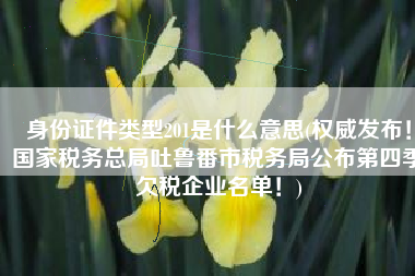 身份证件类型201是什么意思(权威发布！国家税务总局吐鲁番市税务局公布第四季欠税企业名单！)