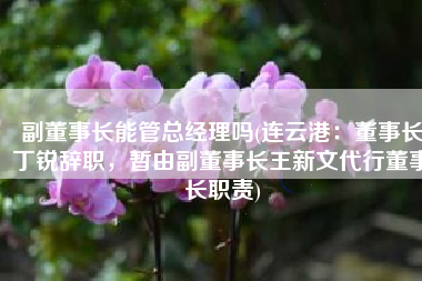 副董事长能管总经理吗(连云港：董事长丁锐辞职，暂由副董事长王新文代行董事长职责)