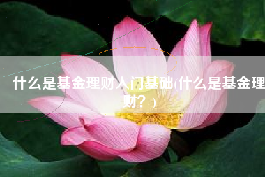 什么是基金理财入门基础(什么是基金理财？)