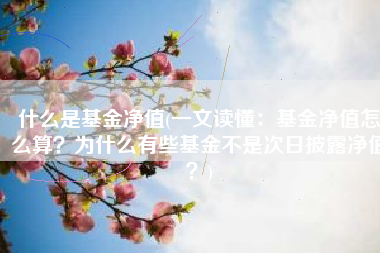 什么是基金净值(一文读懂：基金净值怎么算？为什么有些基金不是次日披露净值？)