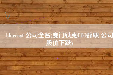 bluecoat 公司全名(赛门铁克CEO辞职 公司股价下跌)