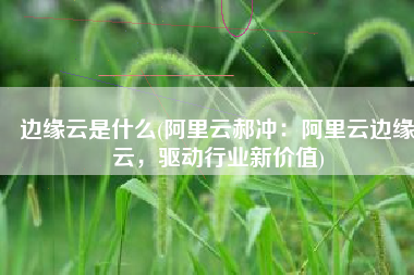 边缘云是什么(阿里云郝冲：阿里云边缘云，驱动行业新价值)