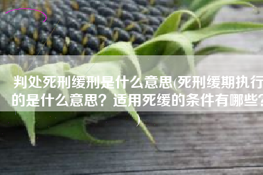 判处死刑缓刑是什么意思(死刑缓期执行的是什么意思？适用死缓的条件有哪些？)