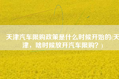 天津汽车限购政策是什么时候开始的(天津，啥时候放开汽车限购？)