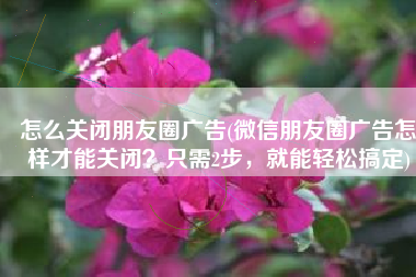 怎么关闭朋友圈广告(微信朋友圈广告怎样才能关闭？只需2步，就能轻松搞定)