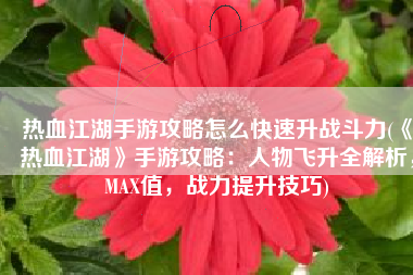 热血江湖手游攻略怎么快速升战斗力(《热血江湖》手游攻略：人物飞升全解析，MAX值，战力提升技巧)