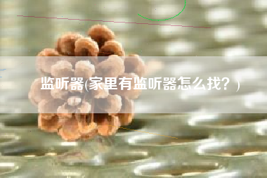监听器(家里有监听器怎么找？)