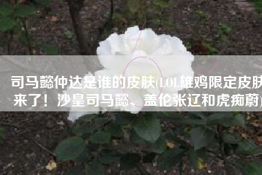 司马懿仲达是谁的皮肤(LOL雄鸡限定皮肤来了！沙皇司马懿、盖伦张辽和虎痴蔚)