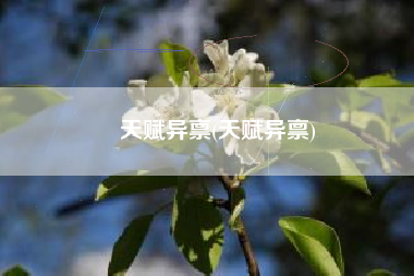 天赋异禀(天赋异禀)