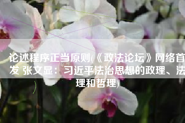 论述程序正当原则(《政法论坛》网络首发 张文显：习近平法治思想的政理、法理和哲理)