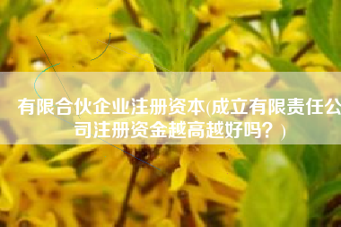 有限合伙企业注册资本(成立有限责任公司注册资金越高越好吗？)