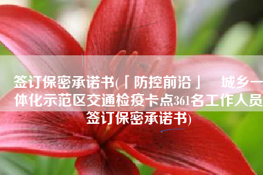 签订保密承诺书(「防控前沿」﻿城乡一体化示范区交通检疫卡点361名工作人员签订保密承诺书)