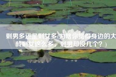 剩男多还是剩女多(为啥你觉得身边的大龄剩女这么多，剩男却没几个？)