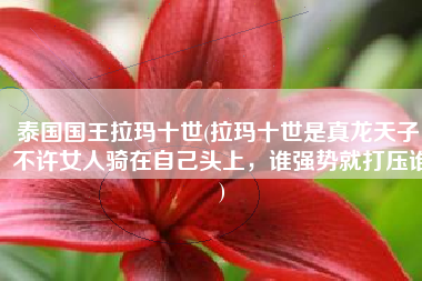 泰国国王拉玛十世(拉玛十世是真龙天子，不许女人骑在自己头上，谁强势就打压谁)