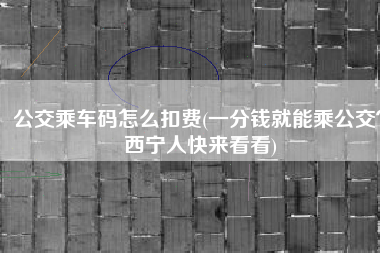 公交乘车码怎么扣费(一分钱就能乘公交？西宁人快来看看)