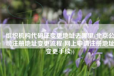 组织机构代码证变更地址去哪里(北京公司注册地址变更流程(网上申请注册地址变更手续))