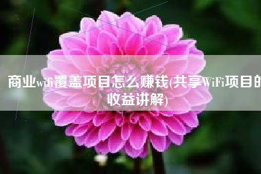 商业wifi覆盖项目怎么赚钱(共享WiFi项目的收益讲解)