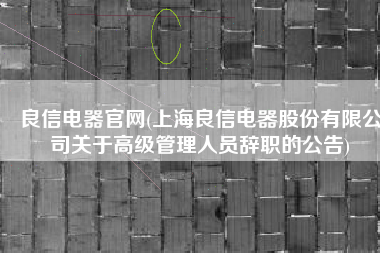 良信电器官网(上海良信电器股份有限公司关于高级管理人员辞职的公告)