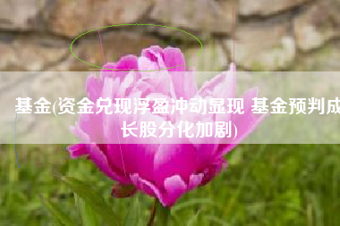 基金(资金兑现浮盈冲动显现 基金预判成长股分化加剧)