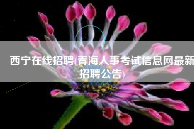 西宁在线招聘(青海人事考试信息网最新招聘公告)