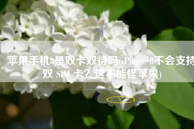 苹果手机8是双卡双待吗(iPhone 8不会支持双 SIM 卡？这不能怪苹果)