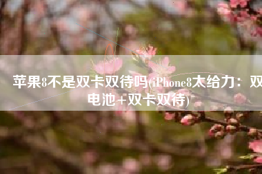 苹果8不是双卡双待吗(iPhone8太给力：双电池+双卡双待)