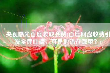 央视曝光百度收取会费(百度网盘收费引发全民吐槽，可是他错在哪里？)