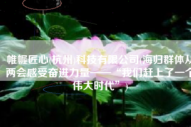 帷幄匠心(杭州)科技有限公司(海归群体从两会感受奋进力量——“我们赶上了一个伟大时代”)